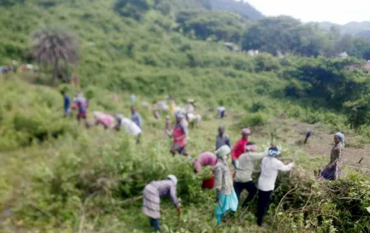 Adivasi Land Rights Restored After Long Struggle